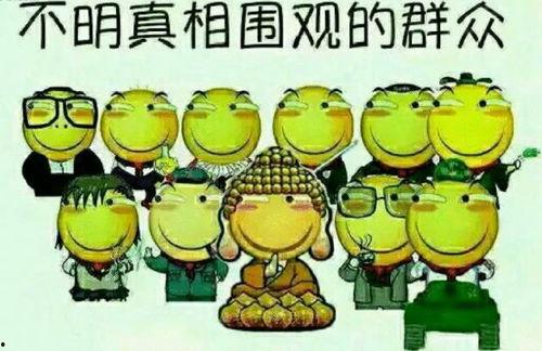 吃瓜群众报名,揭秘幕后故事