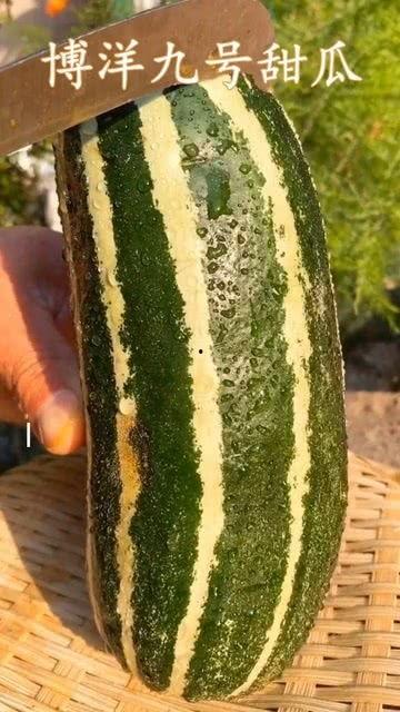 带你吃瓜是什么,带你领略“吃瓜群众”的趣味与智慧