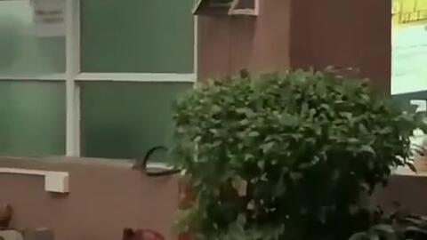 义乌最新吃瓜事件新闻,揭秘幕后真相与网友热议