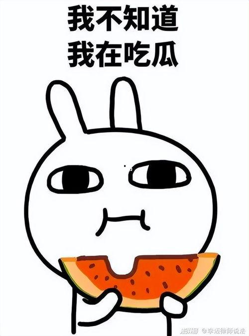 罗罗布吃瓜6,揭秘娱乐圈背后的秘密与真相