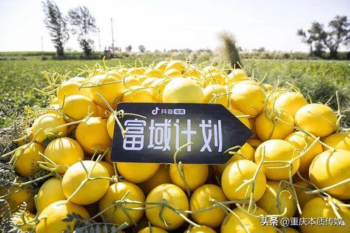 抖音康县吃瓜,揭秘当地特色美食背后的故事