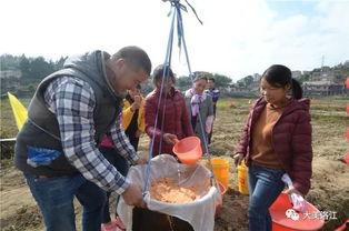 彩虹吃瓜群,揭秘网络社交圈的趣味与争议
