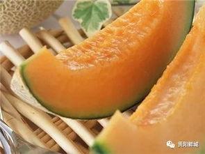 哈密瓜的瓜青怎么吃,哈密瓜瓜青的多彩食法探索