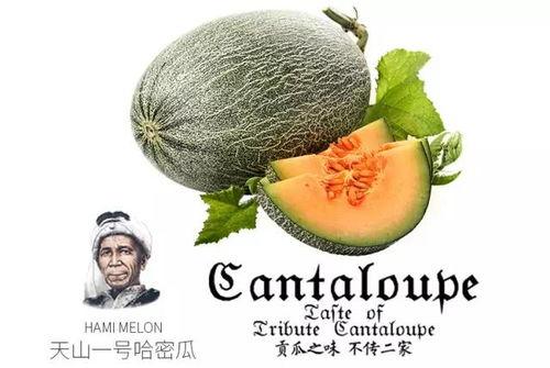 吃瓜就可以变强,揭秘神奇食补法