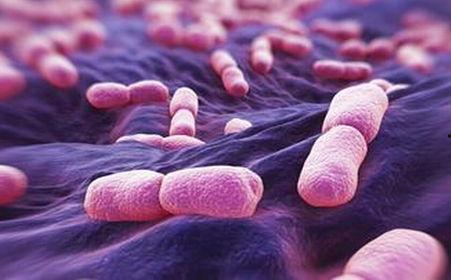 胰腺癌可以吃西湖瓜吗,西湖瓜的适宜性探讨