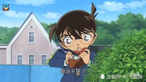 小兰和柯南吃瓜,小兰柯南瓜田奇遇记