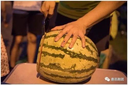 他们都在疯狂的吃瓜,全民热议的疯狂吃瓜盛宴