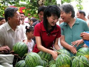 安城管教室吃瓜,一场别开生面的“吃瓜”盛宴