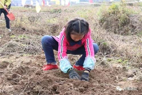 山文吃瓜,揭秘娱乐圈那些不为人知的幕后故事