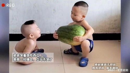 吃瓜的哥哥,吃瓜哥哥带你揭秘娱乐圈幕后真相