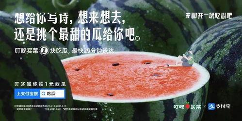 内涵吃瓜的人的文案,揭秘“吃瓜群众”背后的社会现象与心理解读