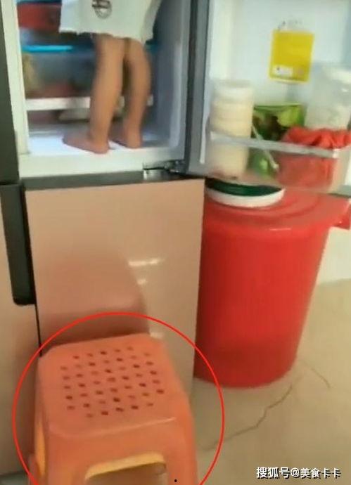 冰箱吃瓜女孩,揭秘现代都市女性的生活状态