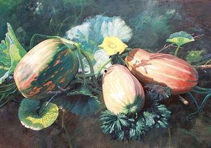 梦见瓜园吃瓜,品味瓜果之乐，探寻生活甜蜜奥秘