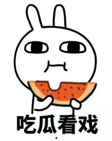 瓜瓜吃瓜审美批评,揭秘网络审美批评的趣味与深度