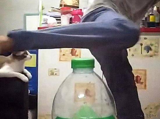 吃瓜女人吵架视频